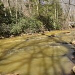 muddy creek discolored